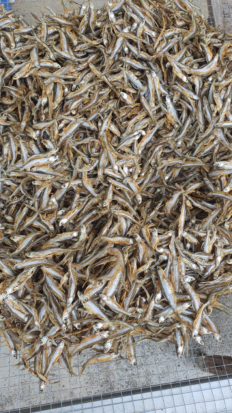 油炸蓝刀鱼白肖鱼各种鱼干