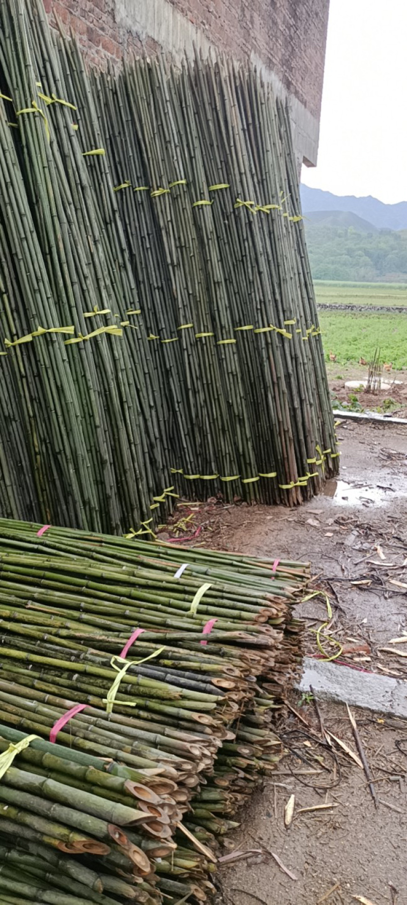 2.5米至4米规格型号齐全瓜果蔬菜等农作物