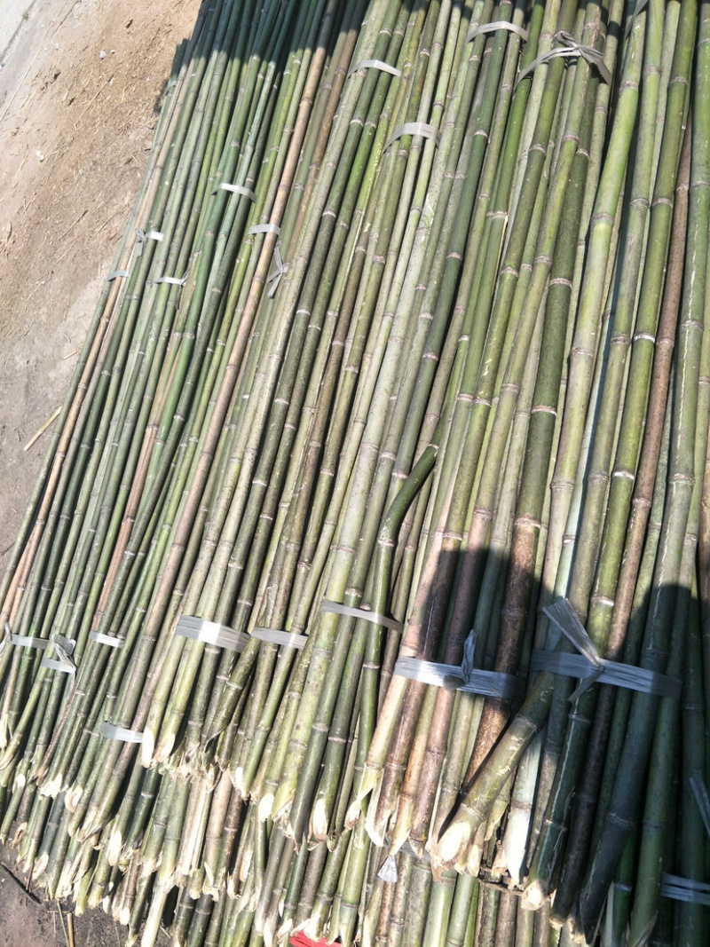 2.5米至4米规格型号齐全瓜果蔬菜等农作物