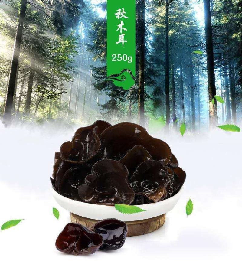正宗东北木耳，口感怎么样吃过都知道，色黑肉厚，好！！！