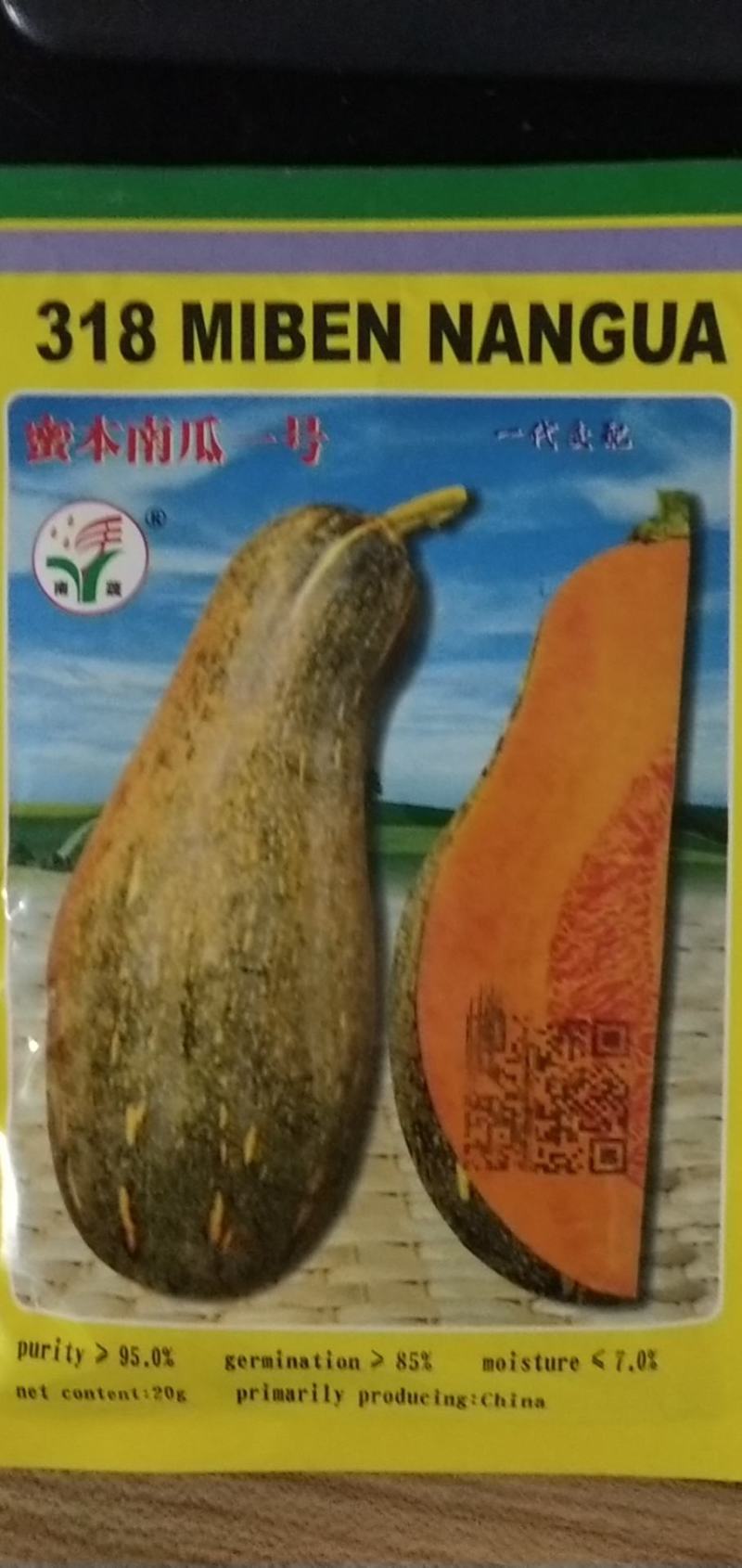 广丰蜜本南瓜种子高产品种口感一代杂交品种种子