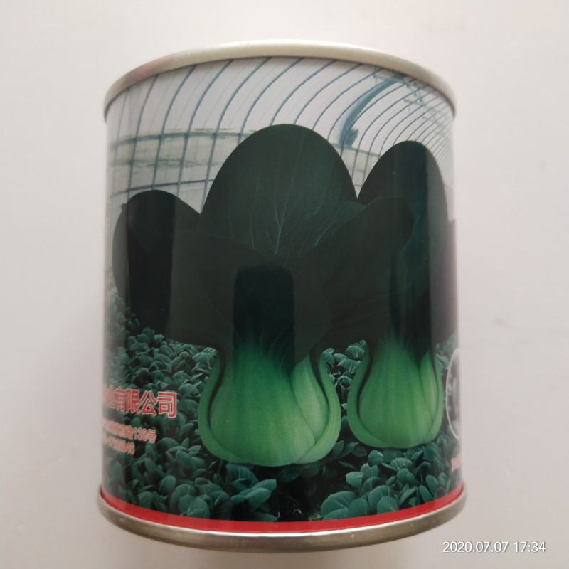 黑叶矮脚油亮苏州青黑大头青菜种籽高产耐寒耐热四季播青菜种
