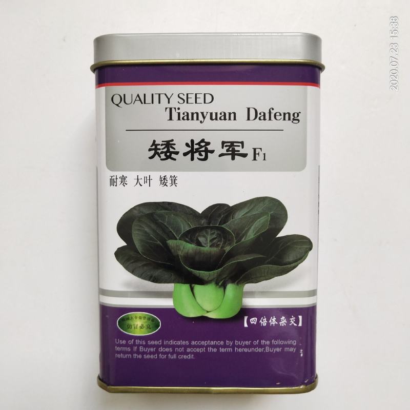 黑叶矮脚油亮苏州青黑大头青菜种籽高产耐寒耐热四季播青菜种