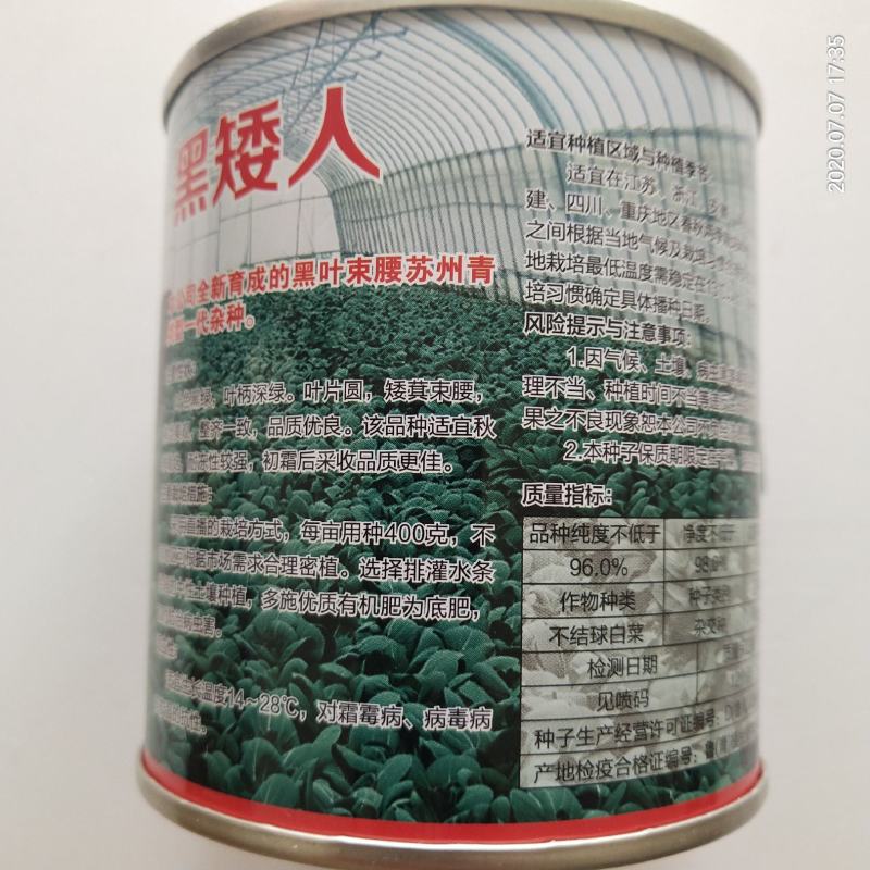 黑叶矮脚油亮苏州青黑大头青菜种籽高产耐寒耐热四季播青菜种