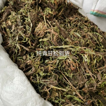 甘松水货新货纯青甘松