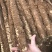 2022年山西白玉山药～大量上市