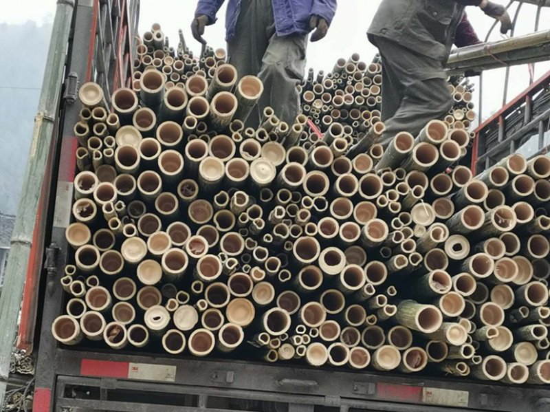 竹尾2至5米规格齐全产地货源品质好
