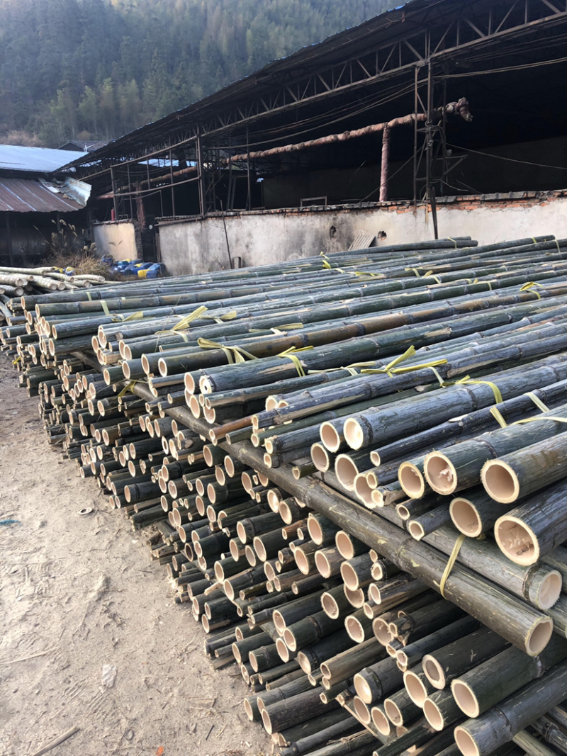 竹尾2至5米规格齐全产地货源品质好