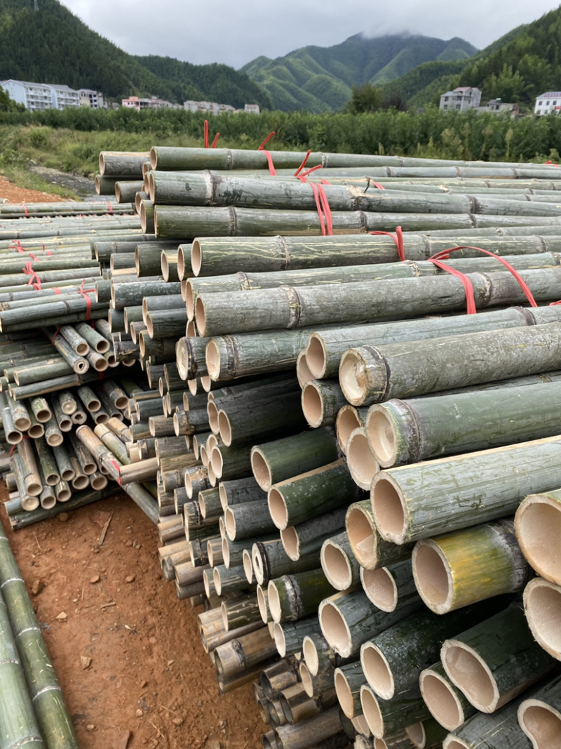 竹尾2至5米规格齐全产地货源品质好