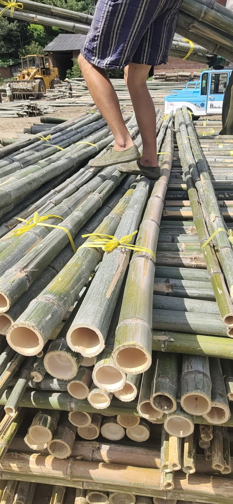 竹尾2至5米规格齐全产地货源品质好
