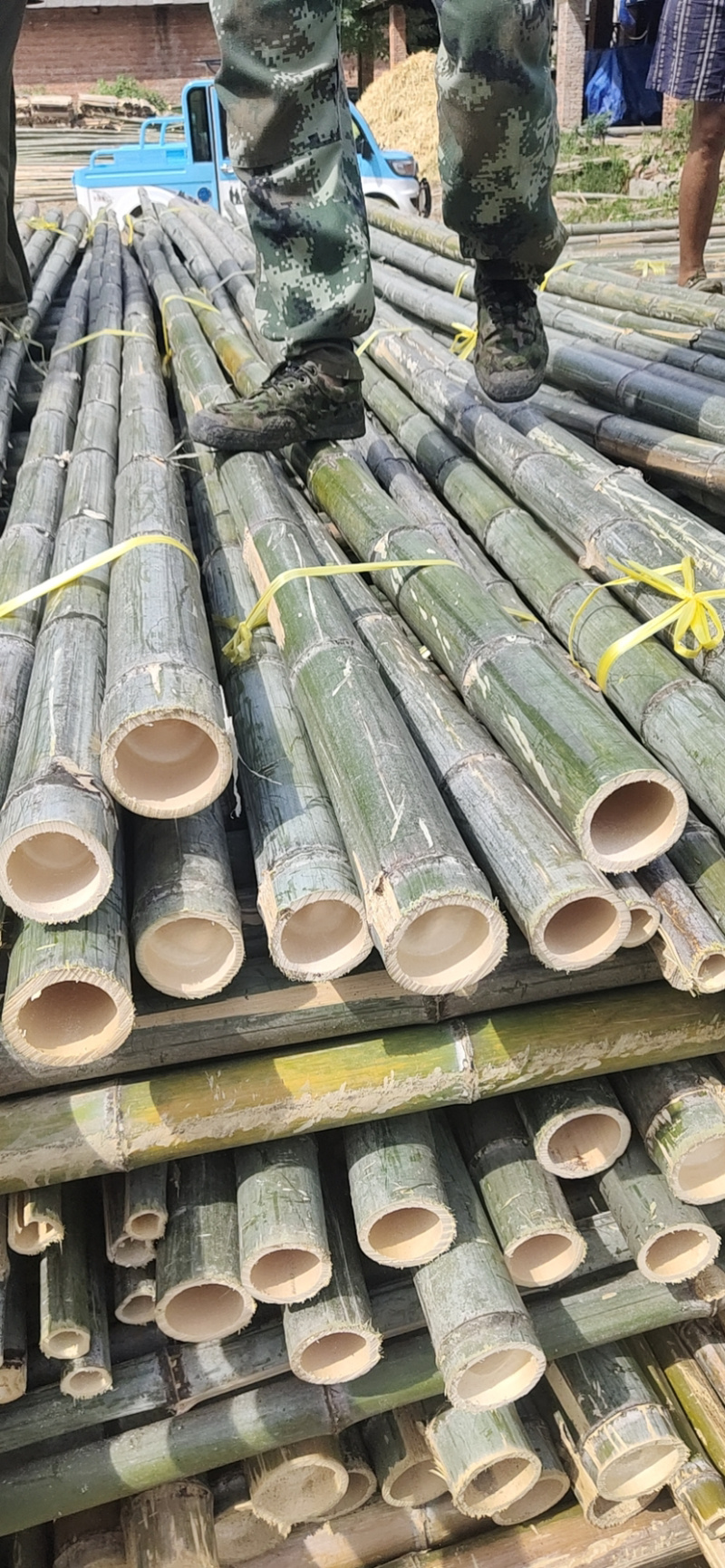 竹尾2至5米规格齐全产地货源品质好