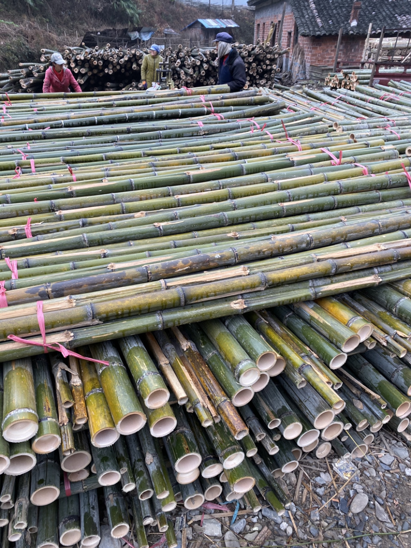 竹尾2至5米规格齐全产地货源品质好