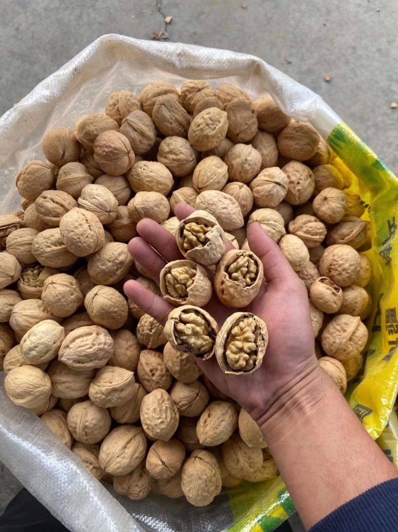 新疆薄皮核桃阿克苏2020新货唐山核桃