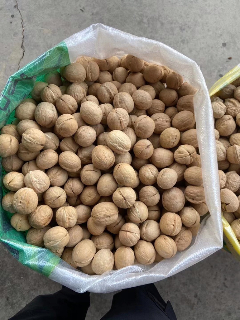 新疆薄皮核桃阿克苏2020新货唐山核桃