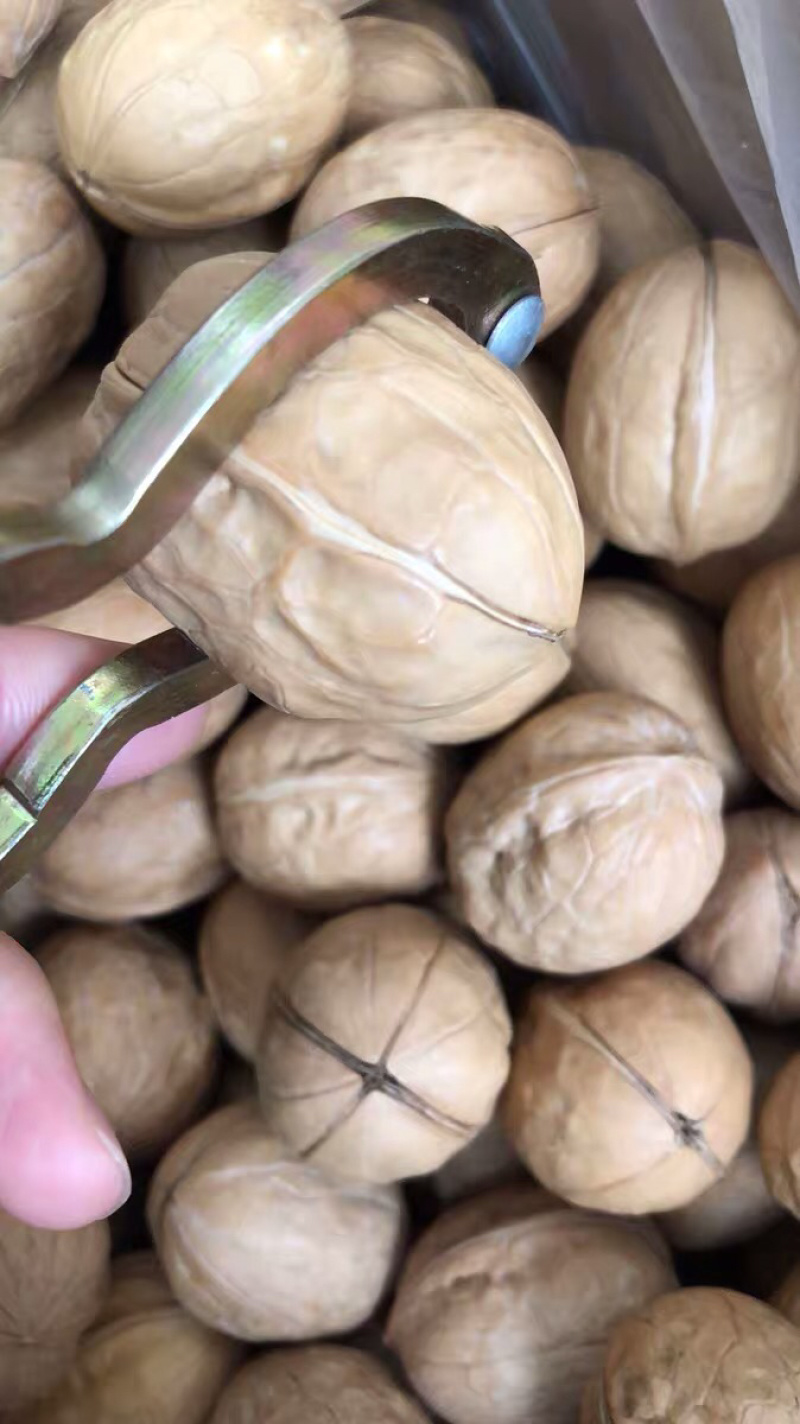 新疆薄皮核桃阿克苏2020新货唐山核桃