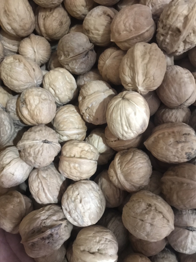 新疆薄皮核桃阿克苏2020新货唐山核桃
