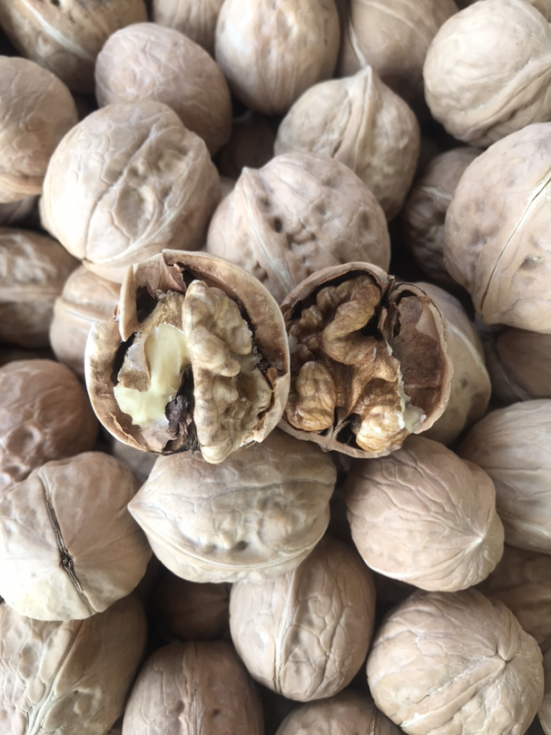 新疆薄皮核桃阿克苏2020新货唐山核桃