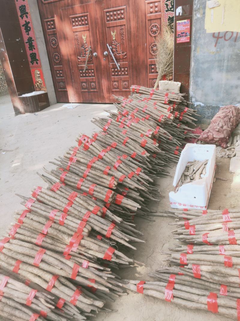 白玉山药细长条大量上市，对应全国各大市场，电商，商超