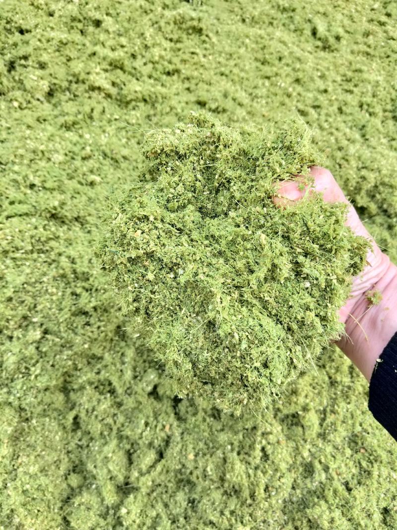 八鹰粉碎机2023新款青鲜植物精细化粉碎设备