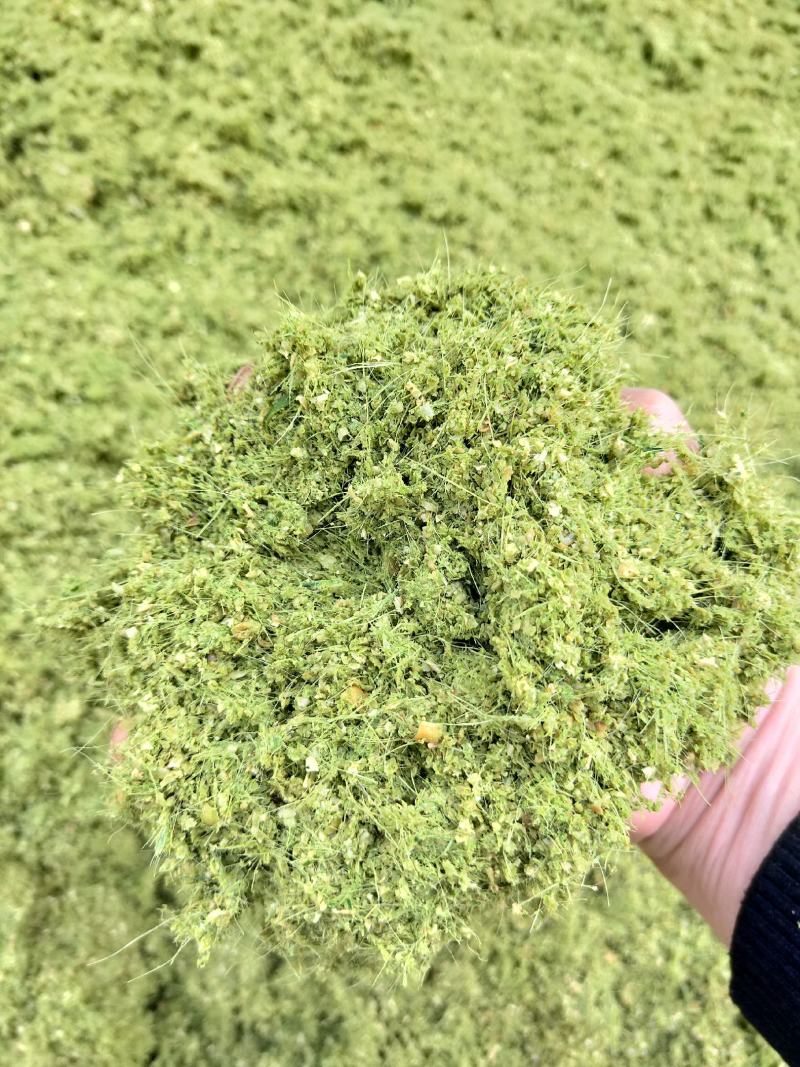 八鹰粉碎机2023新款青鲜植物精细化粉碎设备