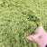 八鹰粉碎机2023新款青鲜植物精细化粉碎设备