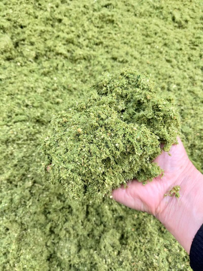 八鹰粉碎机2023新款青鲜植物精细化粉碎设备