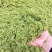 八鹰粉碎机2023新款青鲜植物精细化粉碎设备