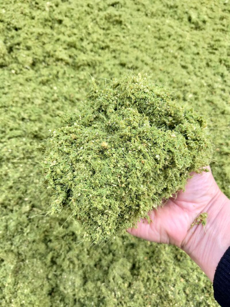 八鹰粉碎机2023新款青鲜植物精细化粉碎设备