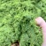 八鹰粉碎机2023新款青鲜植物精细化粉碎设备