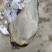 乳山生蚝牡蛎新鲜带壳【2-3两产地直发质量保证，适合烧