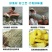 泡椒鱼皮150克*10酒店商用开袋即食下酒凉拌菜