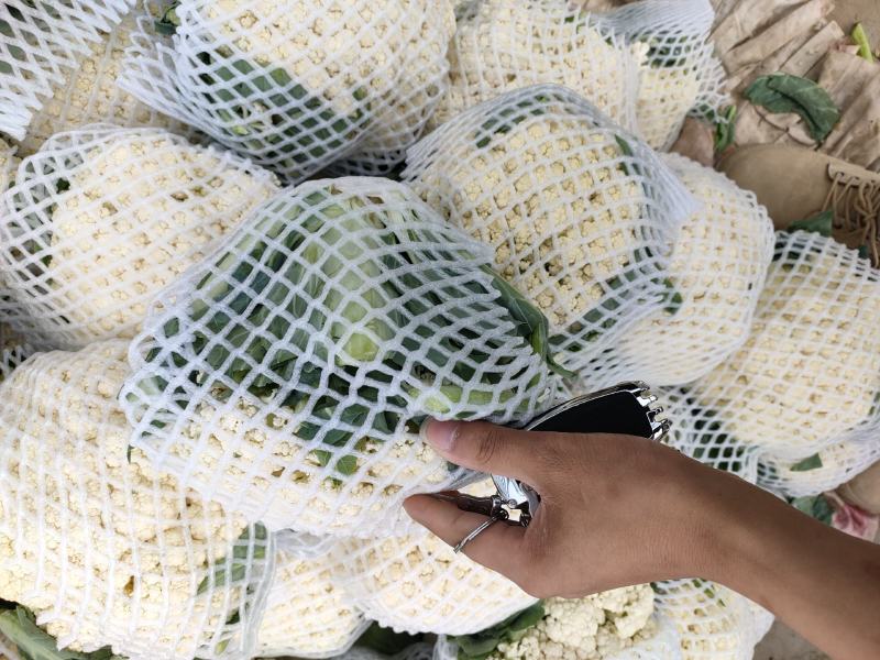 精品花菜，实花、散花，本地优质花菜菜花，