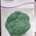 新野县西蓝花，大量上市，适合适合，超市，市场，加工厂，