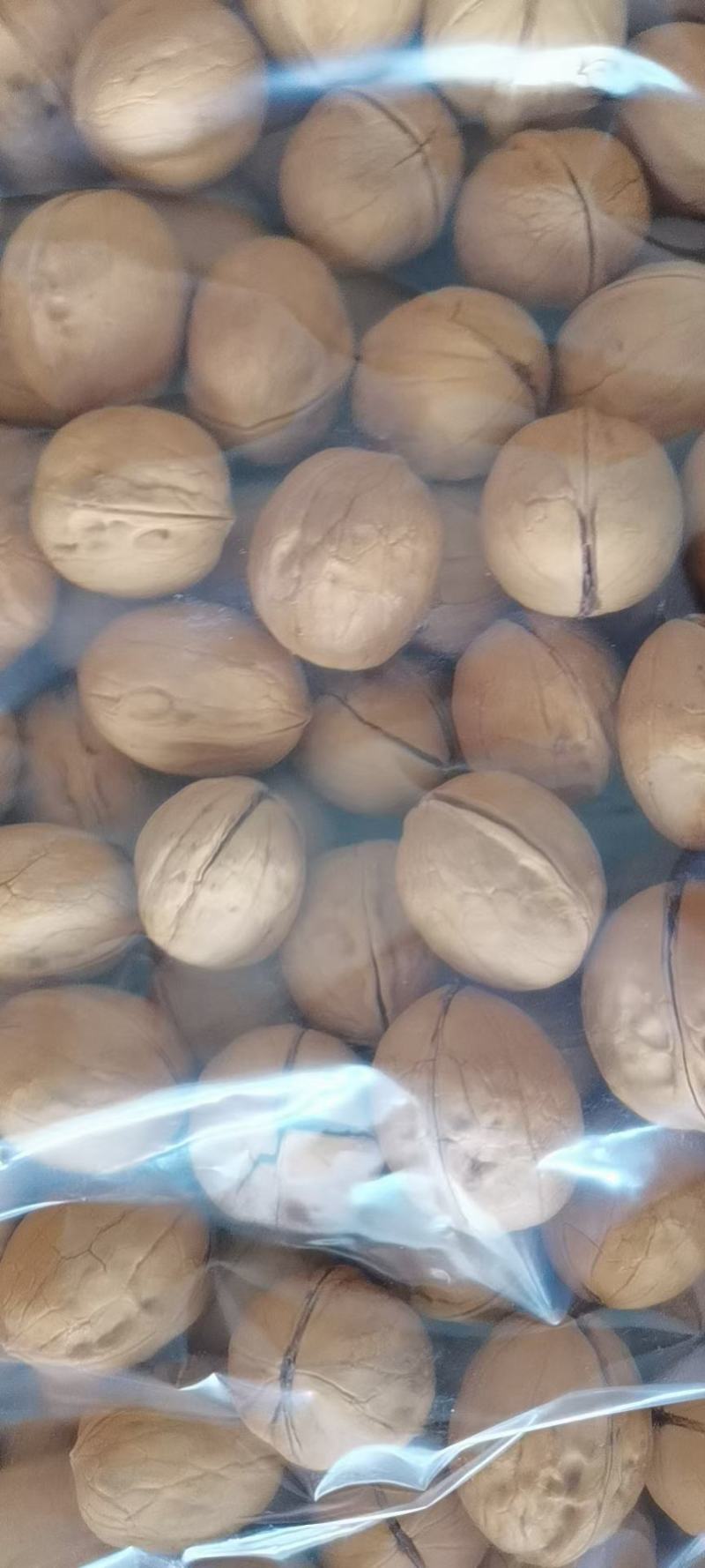 全新货熟核桃大量现货！手剥既开！口感香酥纯正！