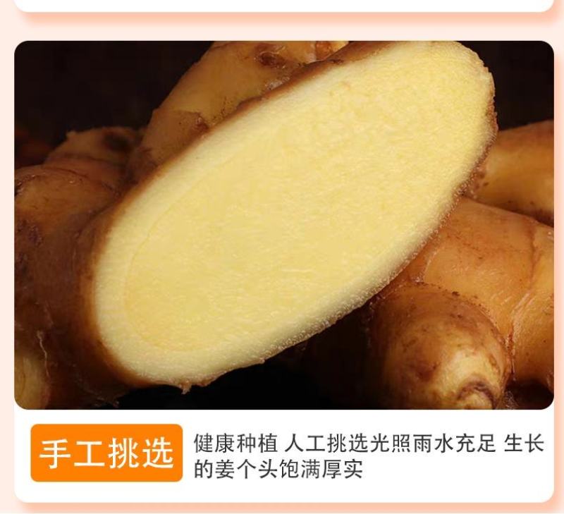 云南小黄姜鲜姜生姜优质货源对接电商微商一件代发