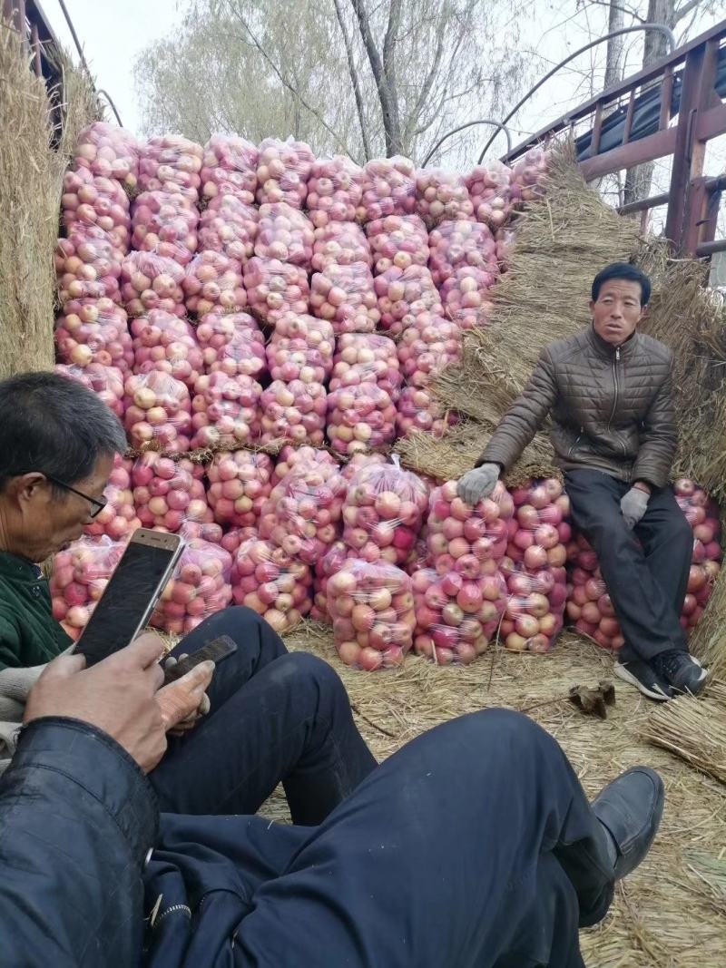 下检红富士苹果，统货，条红，片红