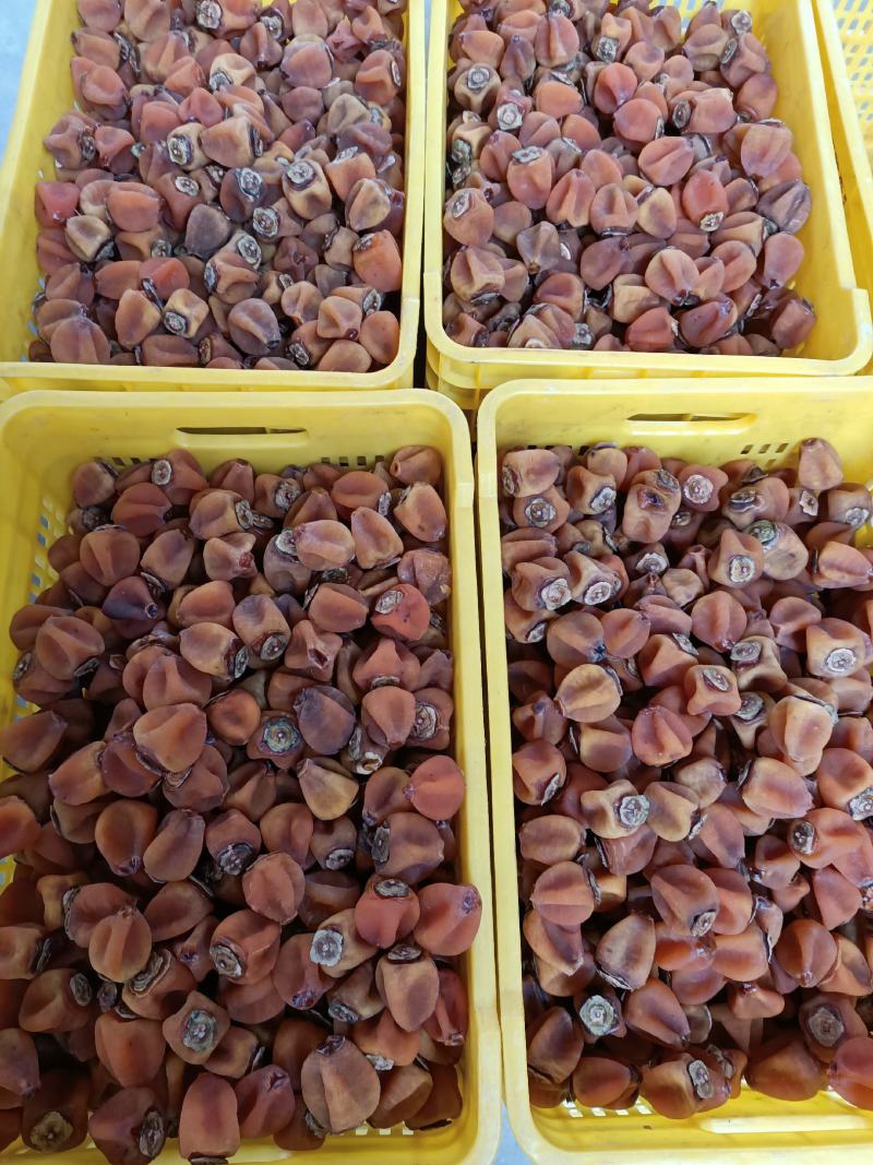 广西桂林恭城柿饼，优质圆饼，吊饼，斤装，5斤装，一件代发