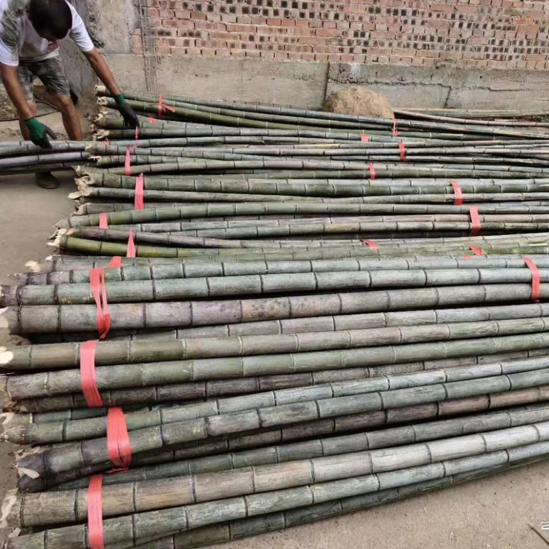 精品4米至6米小竹头撑果树绿化杆香蕉杆