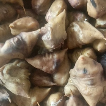 菱角野生菱角河南信阳大别山特产粉襦香甜还是那个童年的味道