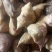 菱角野生菱角河南信阳大别山特产粉襦香甜还是那个童年的味道