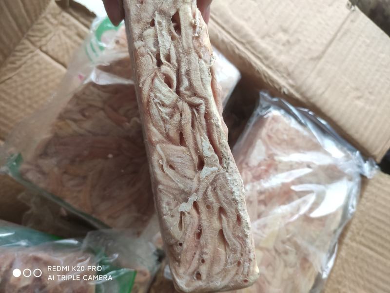 纯干大鸭肠去油鲜鸭肠免洗，郑州起发一手货源