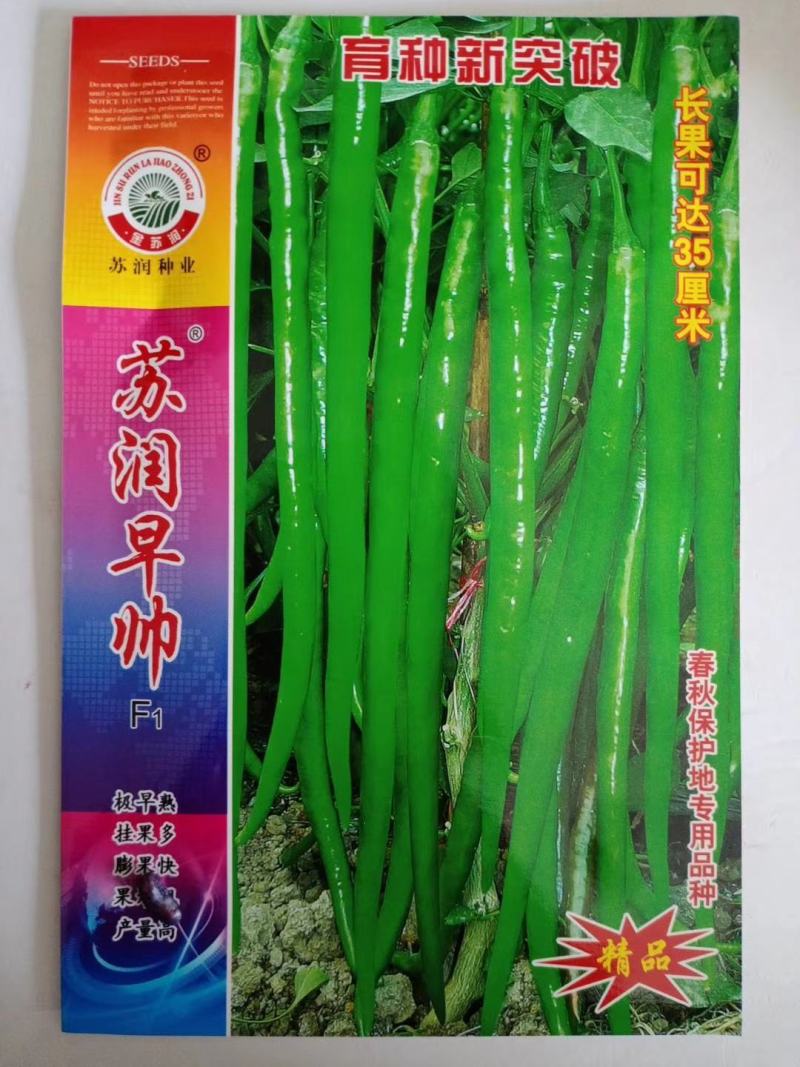 苏润加长八号线椒种子早帅挂果能力里强基地专用品种种子