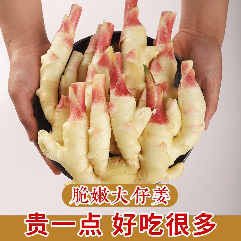 黄姜山东寿光3-5斤一件代发包邮好品种