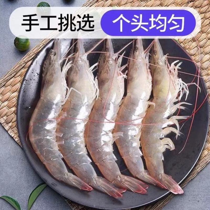 批发价特惠包邮4斤大虾，海对虾，只要活冻发货顺丰包邮