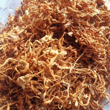 虫草花养生圣品虫草花北北虫草