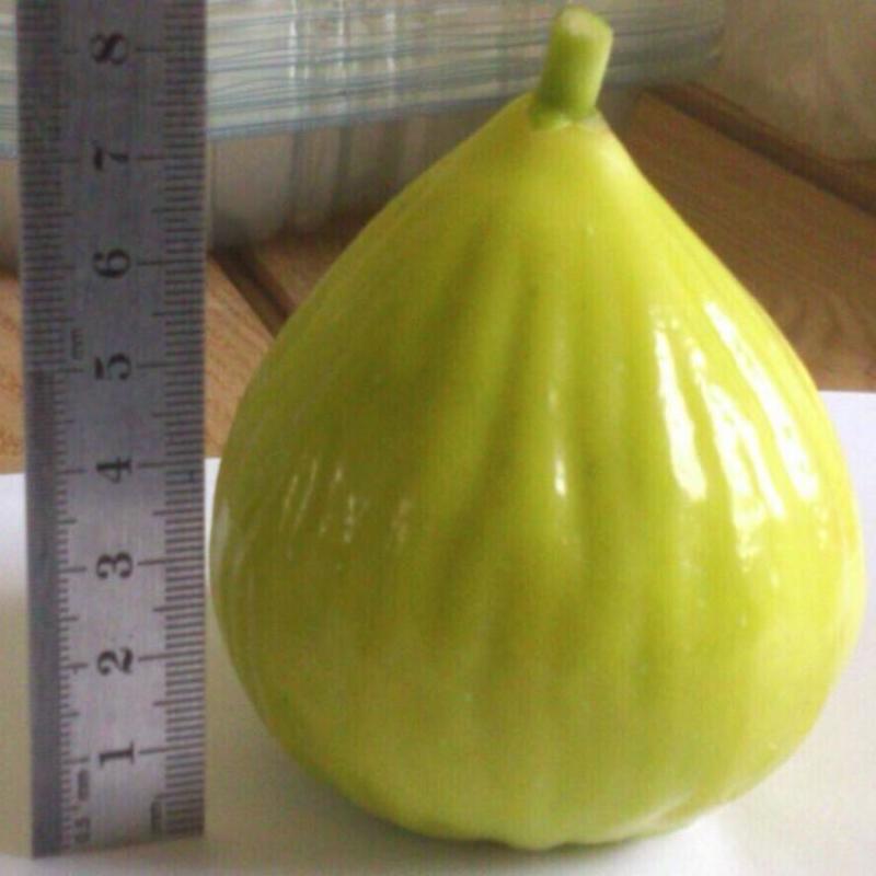 金傲芬无花果树苗，颜色靓丽，包品种当年结果