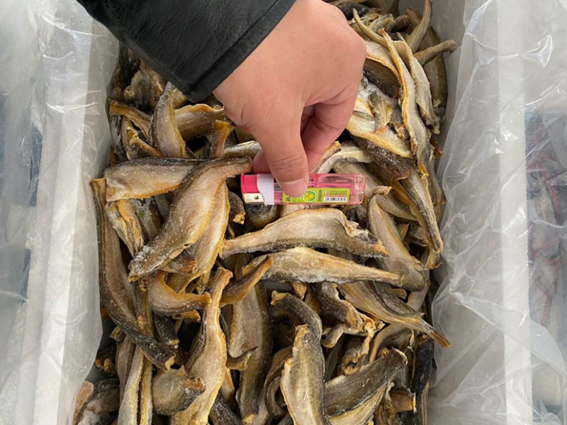 雷鱼干雷鱼干雷鱼干
