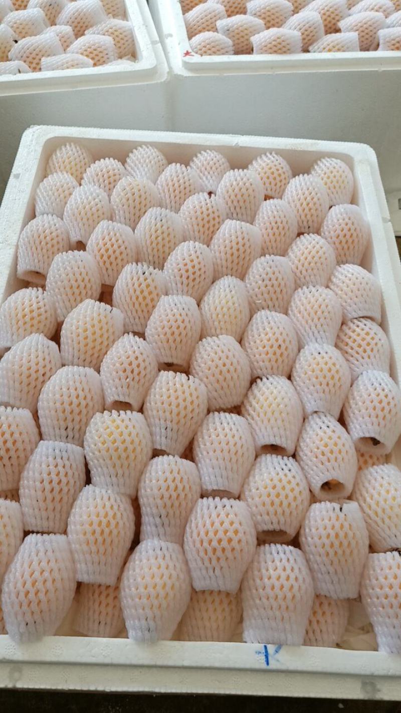 云南蒙自鲜鲜枇杷上市了