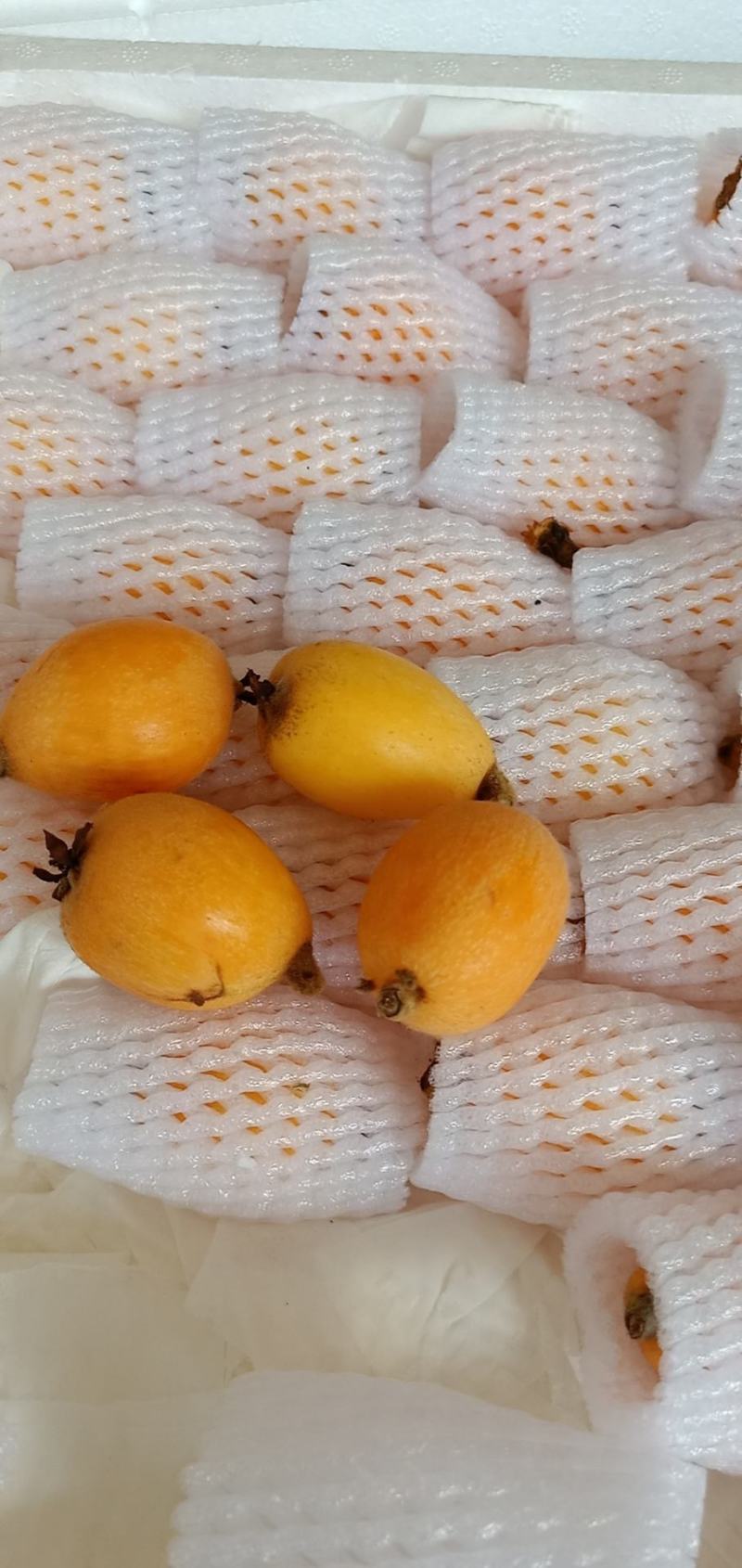 云南蒙自鲜鲜枇杷上市了