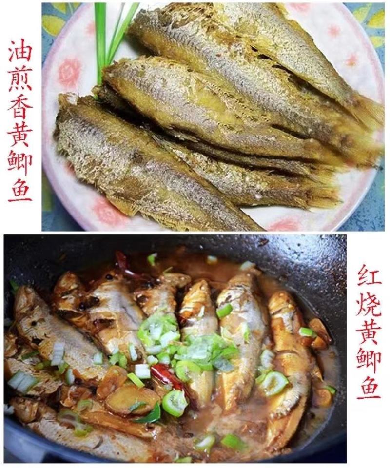 熟鱼(马口鱼)山东当地一手货源，纯淡，一件10斤